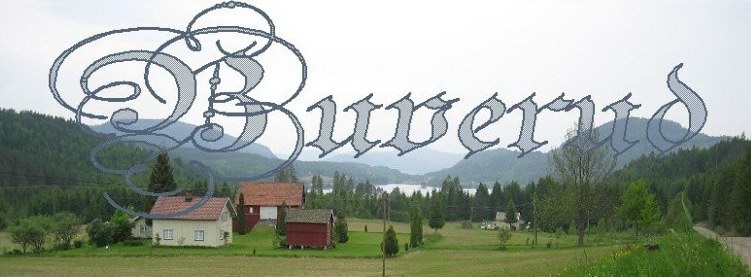 Buverud