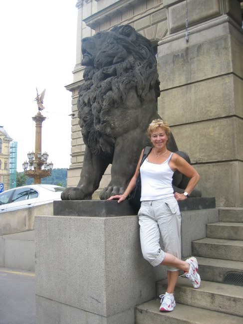 ..and seeing a lion.