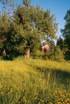 G�rden Ugge - sommeren 2002
The Ugge farm - sommer 2002