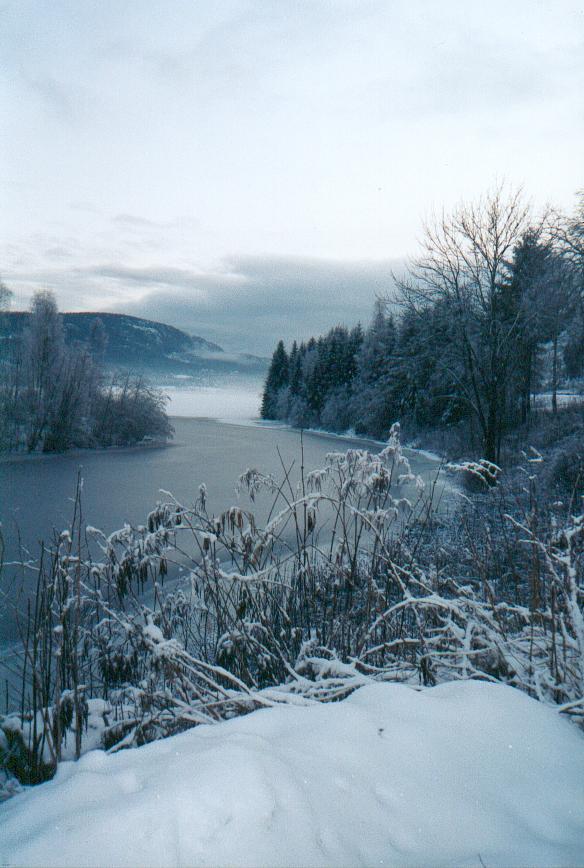 Vinterslør over Tyrivann.
Lake Tyri in winter-veil.